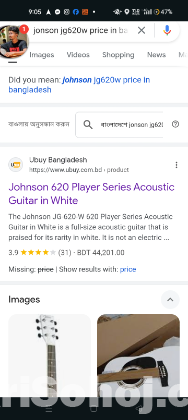 Johnson guitar